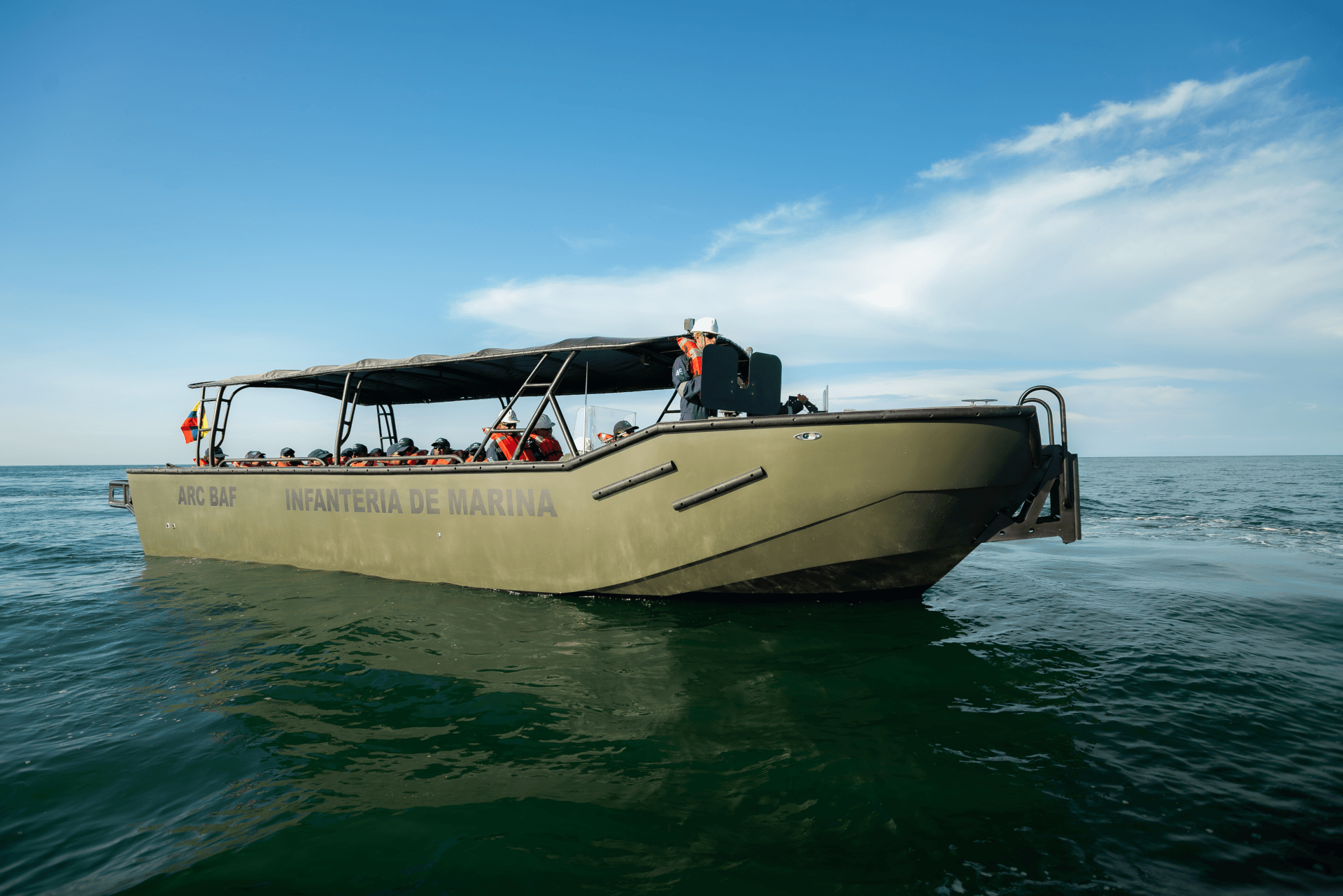 Alligator 37 - foto 1