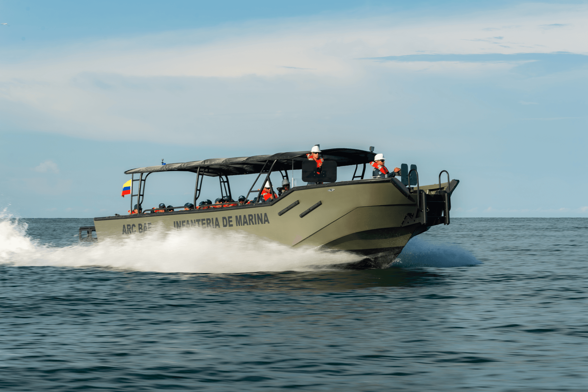 Alligator 37 thumbnail 2