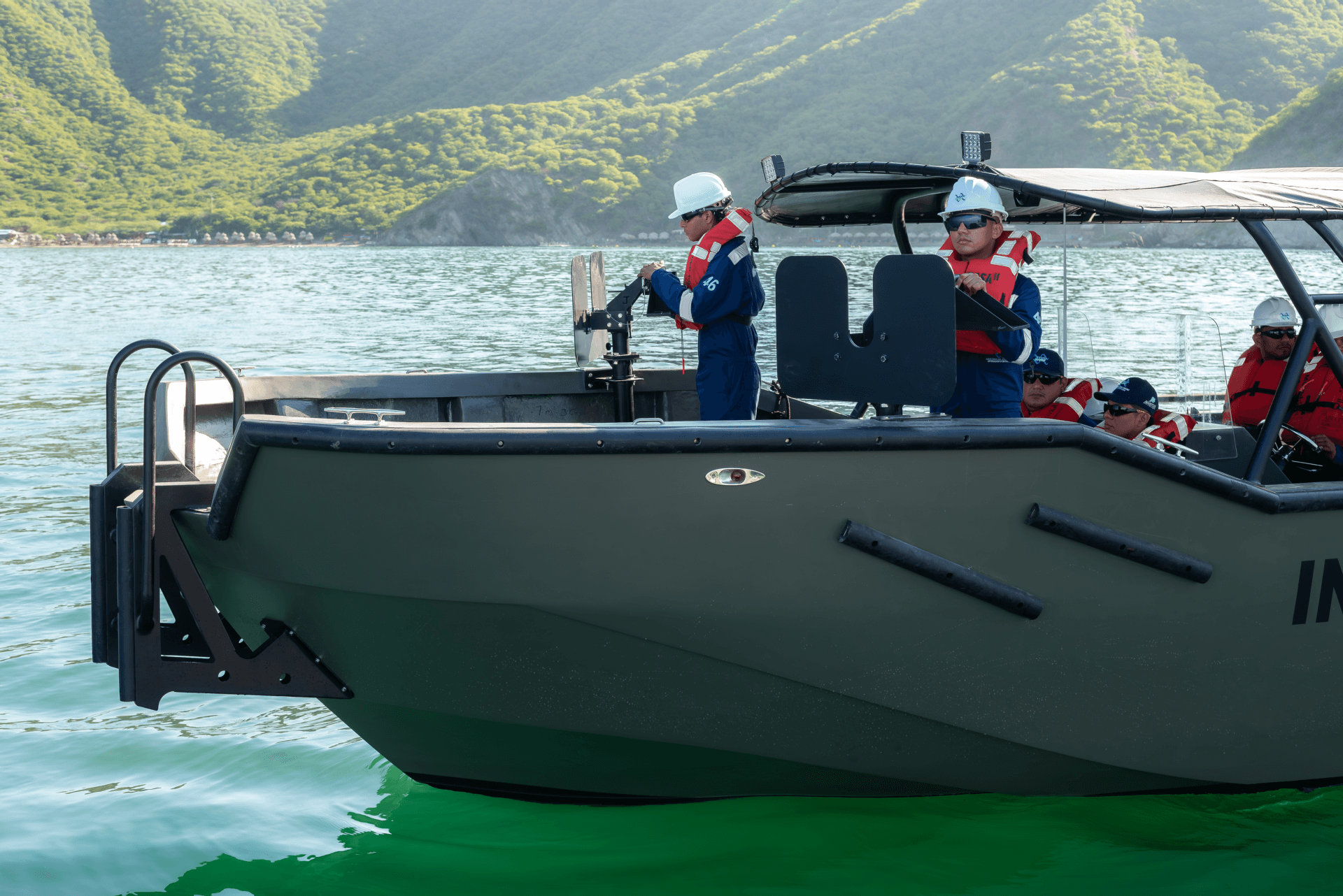 Alligator 37 thumbnail 3