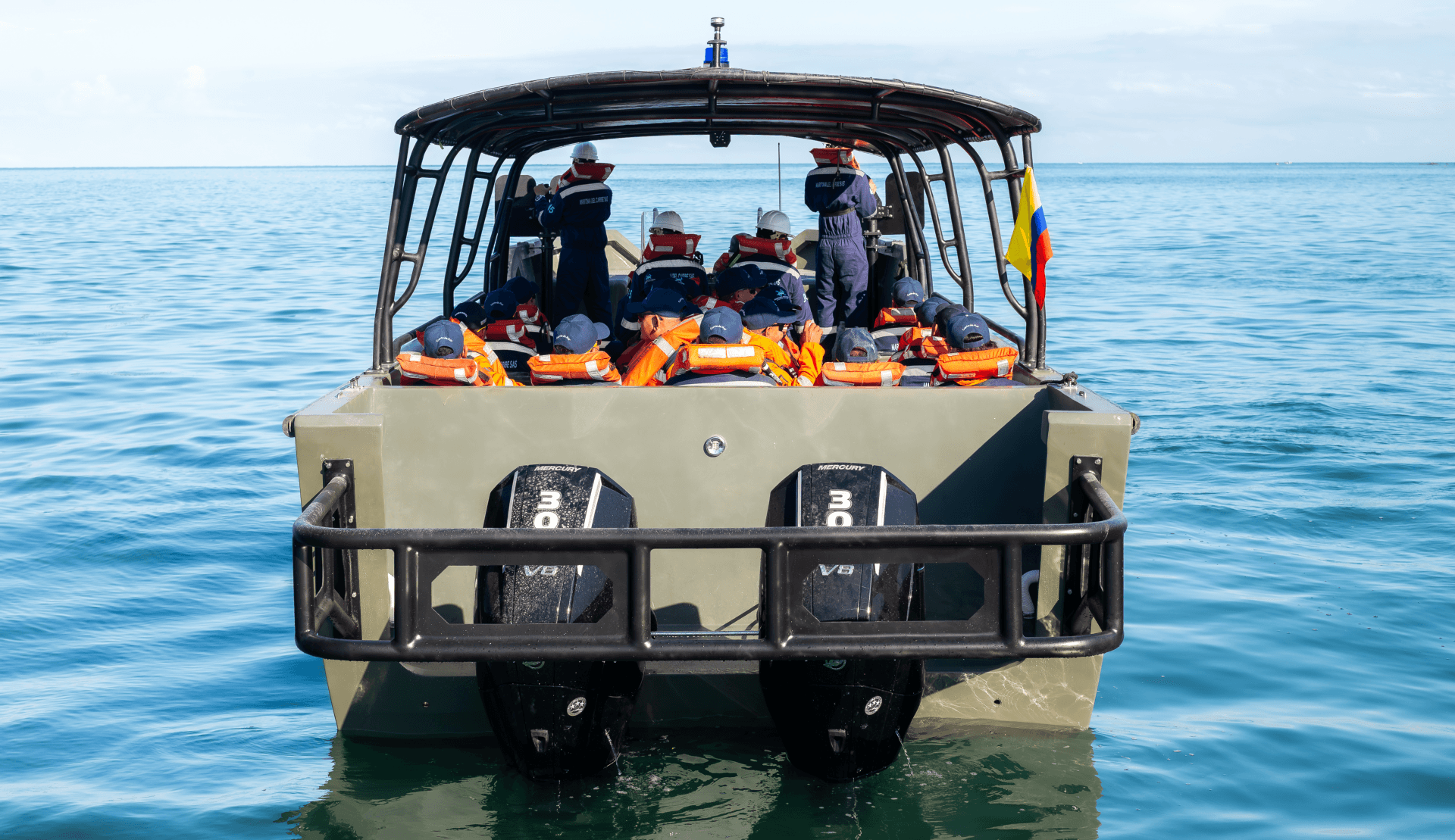 Alligator 37 thumbnail 4